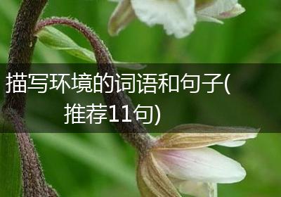 描写环境的词语和句子(推荐11句)