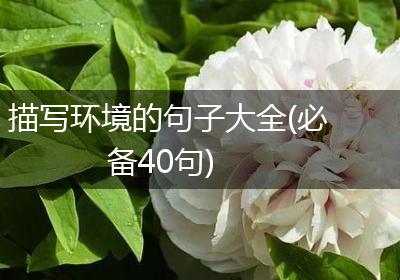 描写环境的句子大全(必备40句)