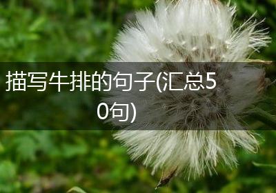 描写牛排的句子(汇总50句)