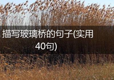 描写玻璃桥的句子(实用40句)