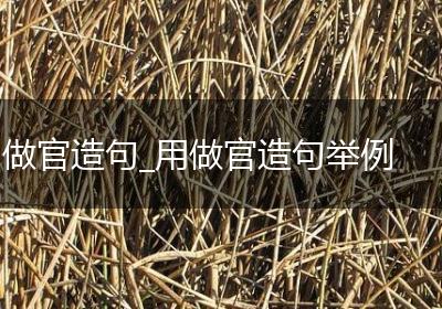 做官造句_用做官造句举例