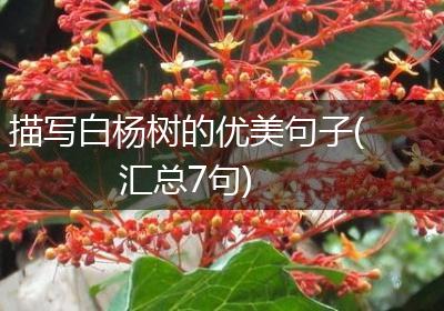 描写白杨树的优美句子(汇总7句)