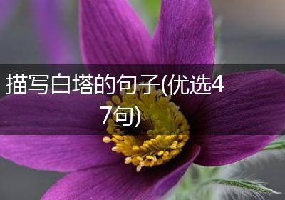 描写白塔的句子(优选47句)