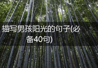 描写男孩阳光的句子(必备40句)