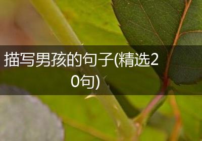 描写男孩的句子(精选20句)