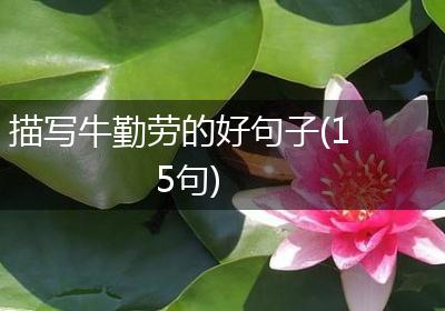 描写牛勤劳的好句子(15句)