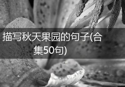 描写秋天果园的句子(合集50句)