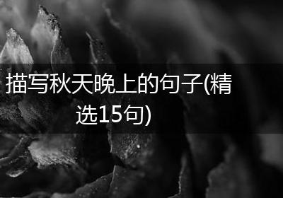 描写秋天晚上的句子(精选15句)