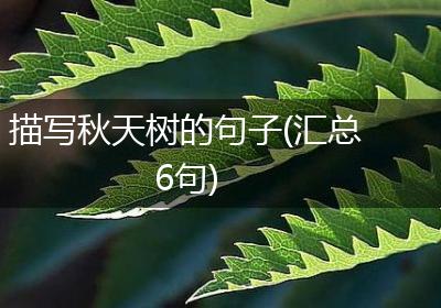 描写秋天树的句子(汇总6句)