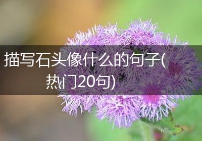描写石头像什么的句子(热门20句)