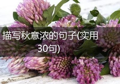 描写秋意浓的句子(实用30句)