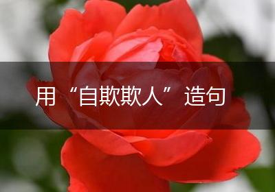 用“自欺欺人”造句