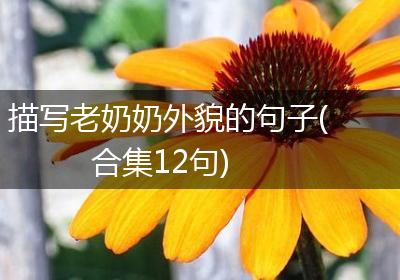 描写老奶奶外貌的句子(合集12句)