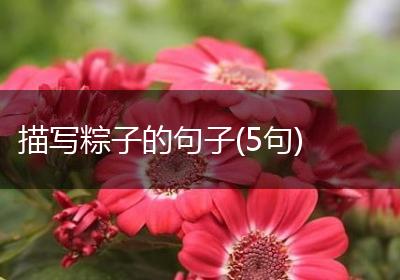 描写粽子的句子(5句)