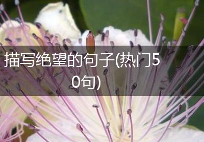 描写绝望的句子(热门50句)