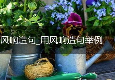 风响造句_用风响造句举例