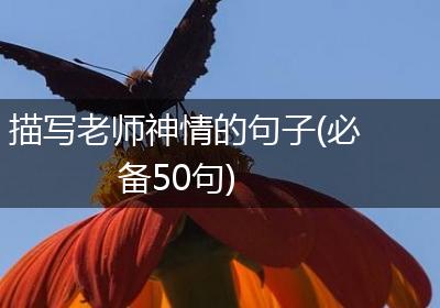 描写老师神情的句子(必备50句)