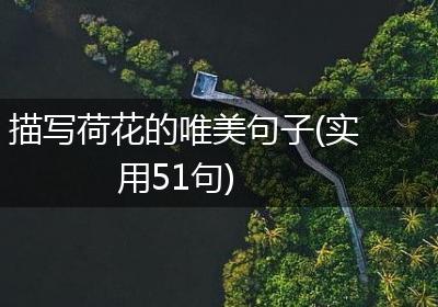 描写荷花的唯美句子(实用51句)