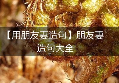 【用朋友妻造句】朋友妻造句大全