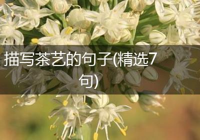 描写茶艺的句子(精选7句)