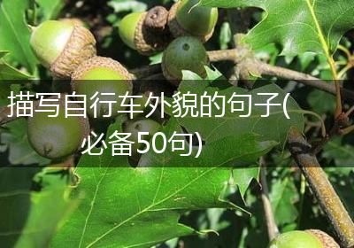 描写自行车外貌的句子(必备50句)