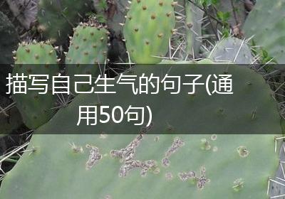 描写自己生气的句子(通用50句)