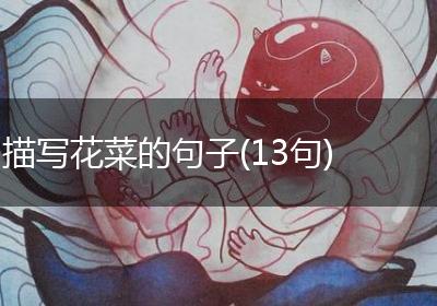 描写花菜的句子(13句)