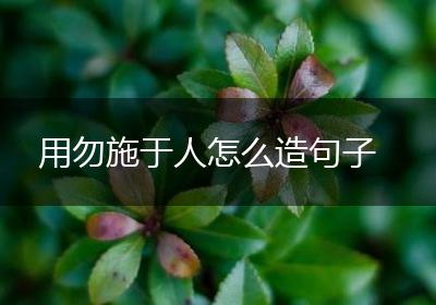 用勿施于人怎么造句子