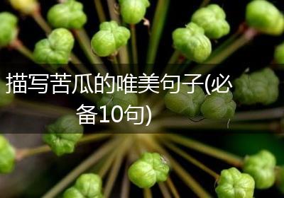 描写苦瓜的唯美句子(必备10句)