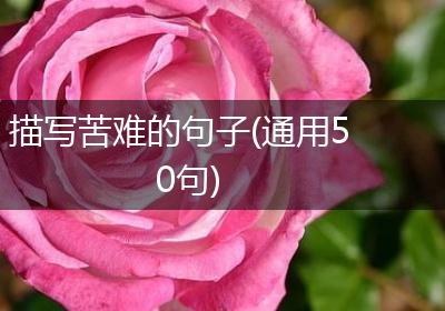 描写苦难的句子(通用50句)