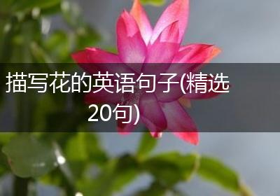 描写花的英语句子(精选20句)
