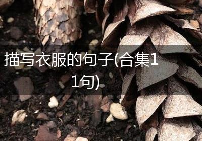 描写衣服的句子(合集11句)