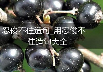 忍俊不住造句_用忍俊不住造句大全