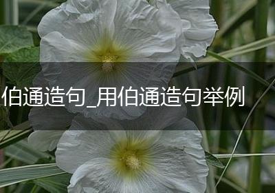 伯通造句_用伯通造句举例