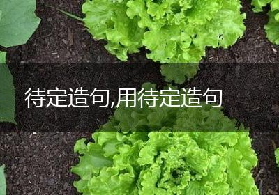 待定造句,用待定造句
