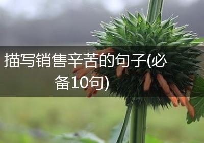 描写销售辛苦的句子(必备10句)