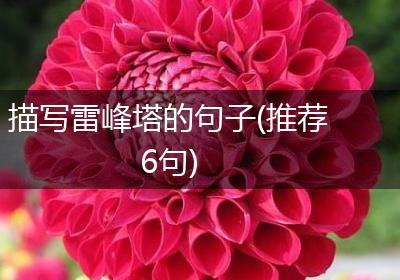 描写雷峰塔的句子(推荐6句)