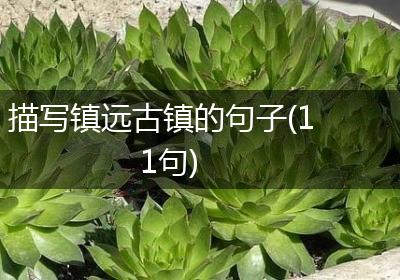 描写镇远古镇的句子(11句)