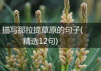 描写那拉提草原的句子(精选12句)