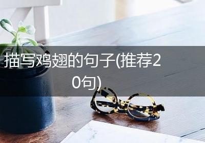 描写鸡翅的句子(推荐20句)