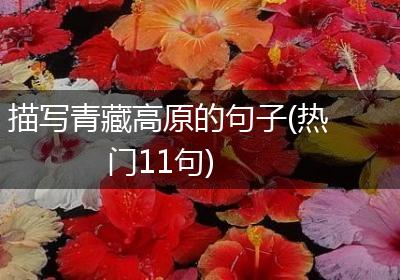 描写青藏高原的句子(热门11句)