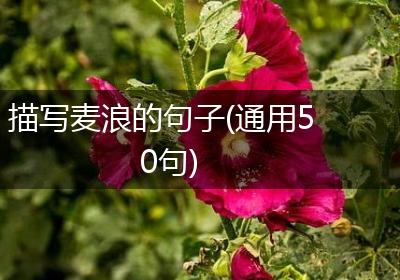 描写麦浪的句子(通用50句)