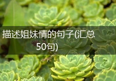 描述姐妹情的句子(汇总50句)