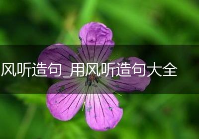 风听造句_用风听造句大全