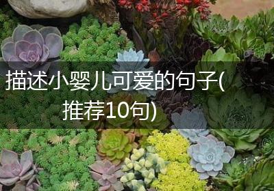 描述小婴儿可爱的句子(推荐10句)