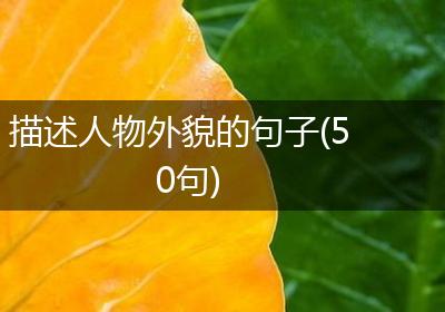 描述人物外貌的句子(50句)