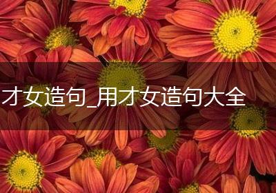 才女造句_用才女造句大全