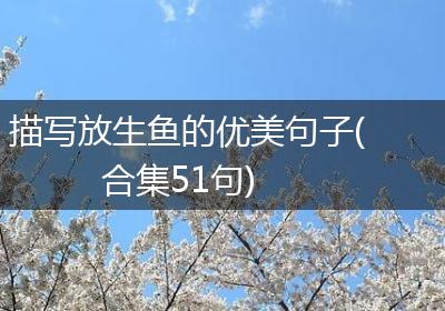 描写放生鱼的优美句子(合集51句)