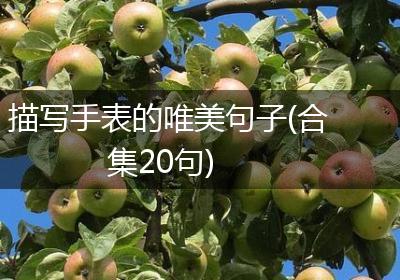 描写手表的唯美句子(合集20句)