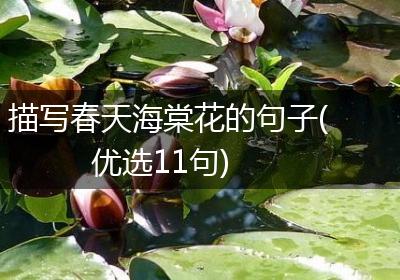 描写春天海棠花的句子(优选11句)